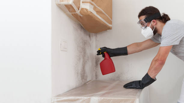 Professional Bathroom Mold Removal technician working in Woolford, MD